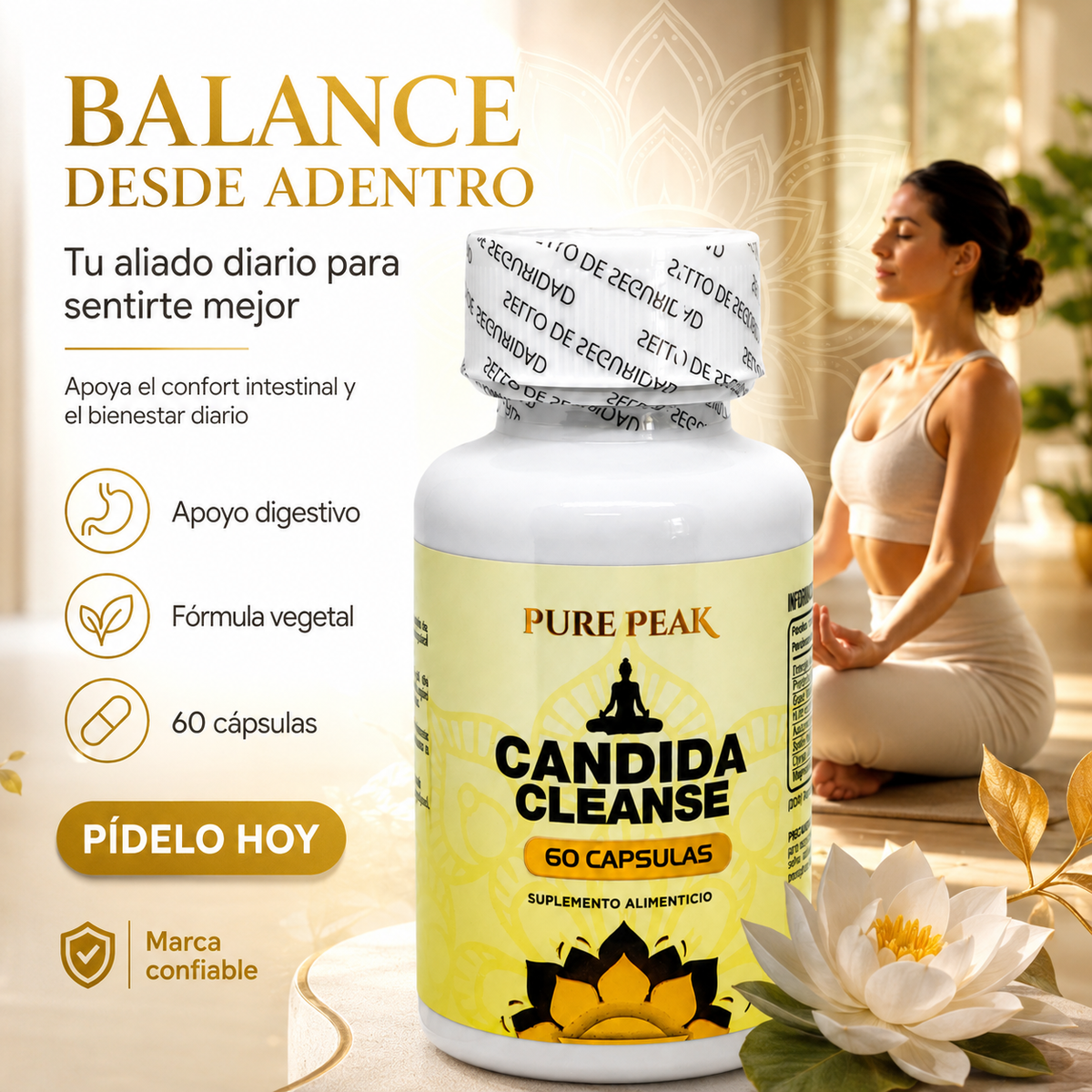 CANDIDA CLEANSE original